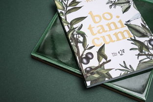 手绘元素在平面设计中的艺术魅力与应用