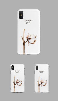 精品平面设计图 从素材到创意的完美融合