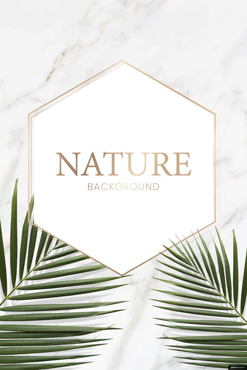 《叶语情缘》——邀您共赴热带花园婚礼盛宴